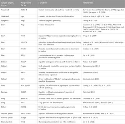 Endothelial-derived angiocrine factors as instructors of embryonic development